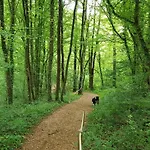 Horská chata De Berghut - Nr 104 Durbuy