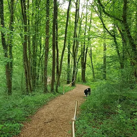 Domek alpejski De Berghut - Nr 104 Durbuy