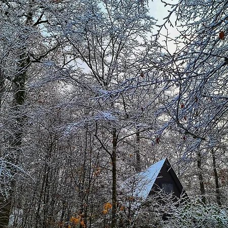 De Berghut - Nr 104 Chalet *