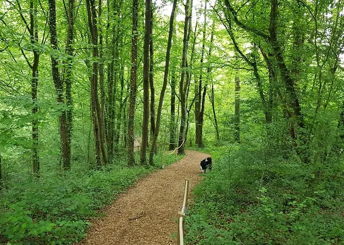 Σαλέ De Berghut - Nr 104 Durbuy